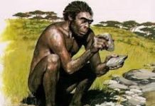 Origin of Man and the World