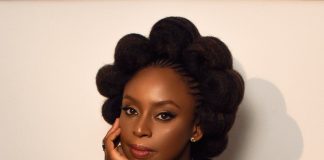 Chimamanda Adichie is a Unique Nigerian Literary Amazon