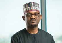 A Nigerian Appointed as Chairman of Multi-Billion-Dollar Sovereign Wealth Fund